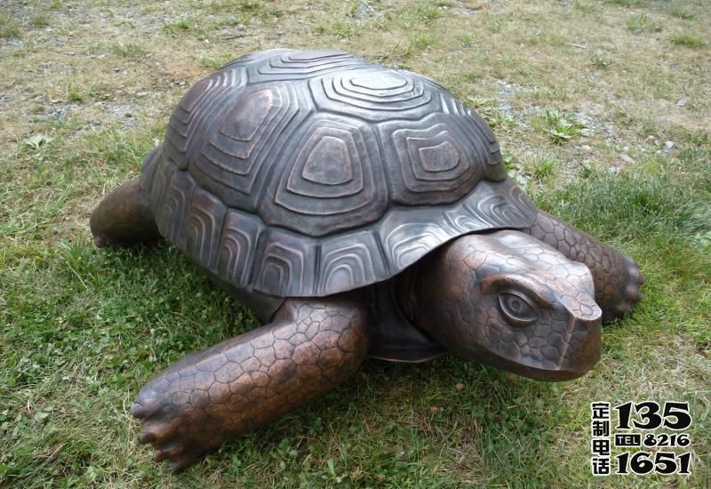 景區(qū)戶外草坪創(chuàng)意玻璃鋼浮雕烏龜雕塑