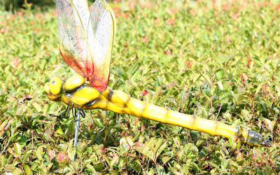 公園草坪玻璃鋼仿真動物蜻蜓雕塑