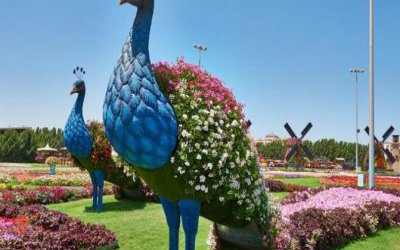 公園草坪戶外大型仿真彩繪動物景觀孔雀雕塑